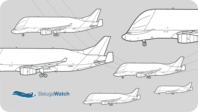 Illustrated Airbus Beluga aircraft fleet used by BelugaWatch